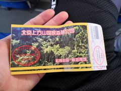-北京上方山国家森林公园