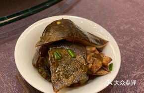 Qinglian Waterside Turtle 1 Liang