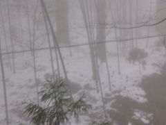 -东天目山风景区