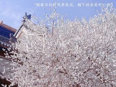 -雍和宫