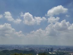 -云溪植物园