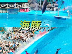 -海合安成都极地海洋公园