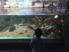 -常州海昌海洋探索馆