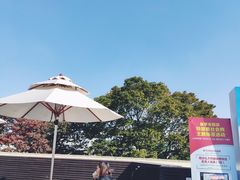 -新罗免税店(首尔总店)