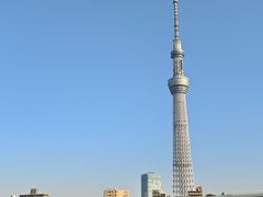 -台场海滨公园船码头