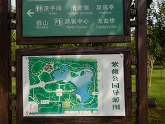 -紫薇公园