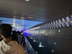 -白鹤梁水下博物馆