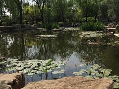 -武清南湖绿博园