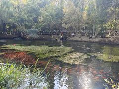 -水磨沟公园