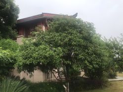 -她时区金吉兒月子中心(太湖度假店)