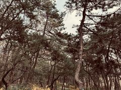 -红螺寺