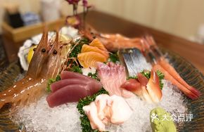 Sashimi Platter (Medium)