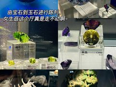 -中国地质博物馆