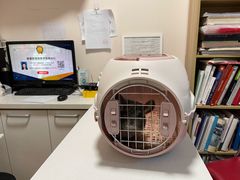 -瑞派·关忠动物医院·异宠专科·犬猫肿瘤·皮肤专科(望京店)