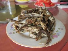 IMG_7884-上海老范农家乐(崇明前卫村店)