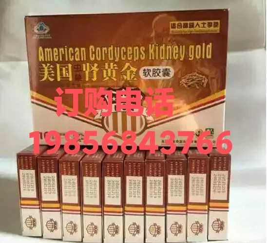 美国虫草肾黄金官方正品 肾黄金软胶囊总代理