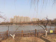 -燕郊植物园