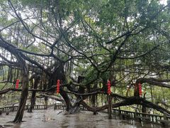 -西禅古寺售票处