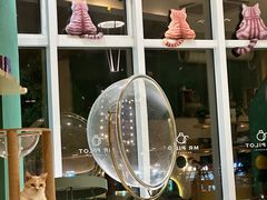 -飞行喵MR PILOT|猫舍·猫咖(静安大融城店)