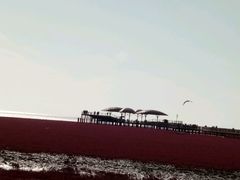 -红海滩国家风景廊道