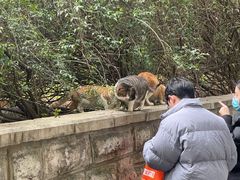 -文昌阁