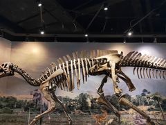 -辽宁古生物博物馆