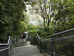 -佛山华盖山公园