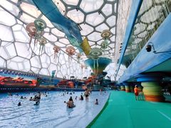 -水立方嬉水乐园