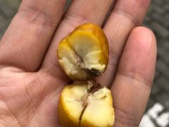 -阿男野栗王(金门路店)