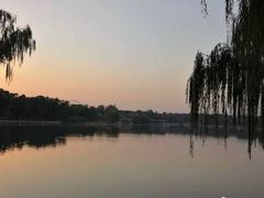 -万柳阁小馆·花园餐厅(龙潭湖店)