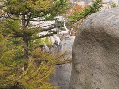-崂山巨峰游览区