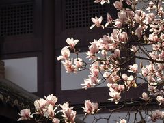 -成都杜甫草堂博物馆