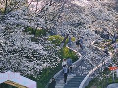 -杭州少年儿童公园