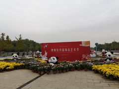 -曹州牡丹园