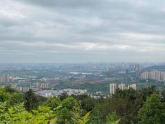 -铁山坪森林公园