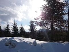 -长白山万达喜来登度假酒店