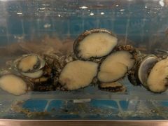 -海草馆自助餐厅(悦海店)