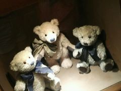 -济州岛泰迪熊博物馆