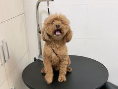 -美联众合24小时·皮肤科·外科·全科诊疗中心(华苑分院)