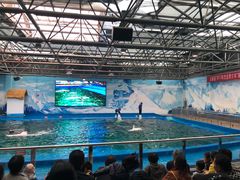 -石林冰雪海洋世界