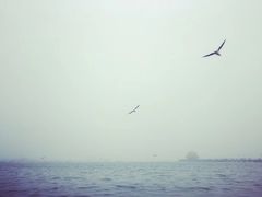 景点-栈桥景区