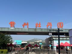 -曹州牡丹园