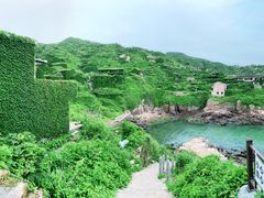 -枸杞岛