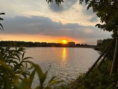 -水濂山森林公园