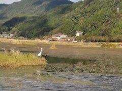 -腾冲北海湿地
