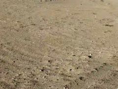 -克孜尔尕哈烽燧世界文化遗产公园