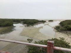 -北海金海湾红树林生态旅游区