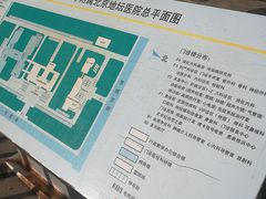 -首都医科大学附属北京地坛医院