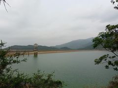 -清溪森林公园