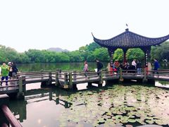 -西湖外事游船(花港观鱼码头)